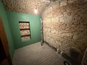 Pronájem obchodního prostoru, Praha - Nové Město, Rumunská, 200 m2