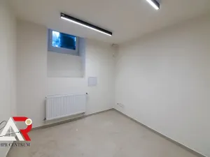 Prodej komerční nemovitosti, Brno, Jiráskova, 233 m2