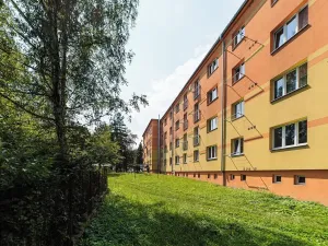 Prodej bytu 2+1, Česká Třebová, Litomyšlská, 50 m2