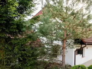 Prodej ubytování, Podmokly, 98 m2