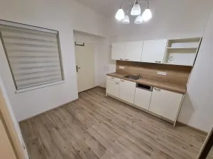 Pronájem bytu 1+kk, Praha - Nové Město, Opletalova, 43 m2