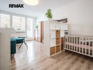 Prodej bytu 2+1, Frýdek-Místek, Politických obětí, 55 m2
