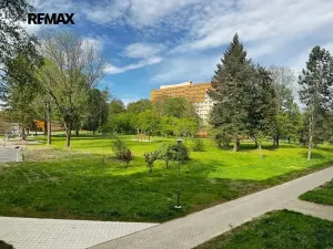 Prodej bytu 2+1, Ostrava, Svojsíkova, 52 m2