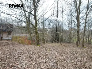 Prodej zahrady, Havířov, 1256 m2