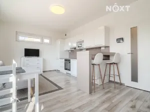 Pronájem bytu 1+kk, České Budějovice, O. Nedbala, 41 m2
