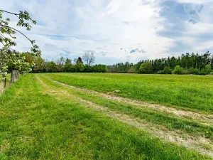 Prodej zemědělské usedlosti, Loket, 80 m2