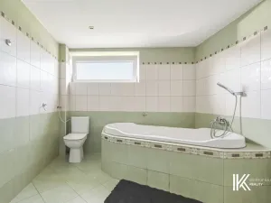 Prodej vícegeneračního domu, Pardubice, Ve Stezkách, 332 m2