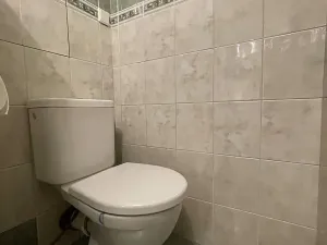 Pronájem bytu 2+1, Mladá Boleslav, Purkyňova, 64 m2
