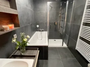 Pronájem bytu 3+kk, Ostrava, Důlní, 89 m2