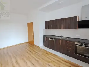 Pronájem bytu 3+kk, Ostrava, Hollarova, 85 m2