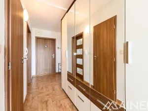 Pronájem bytu 2+kk, Plzeň, Klatovská, 40 m2
