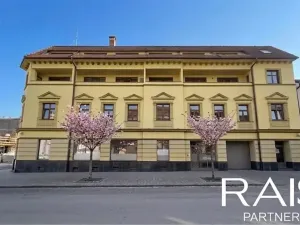 Prodej bytu 1+kk, Brno, Hálkova, 55 m2