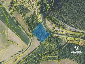 Prodej podílu lesa, Chlum, 1312 m2