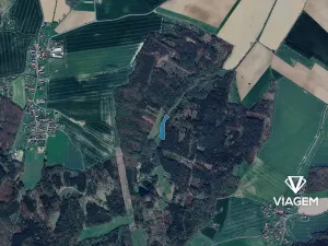 Prodej podílu pole, Morašice, 3959 m2