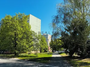Pronájem bytu 2+1, České Budějovice, Plzeňská, 50 m2