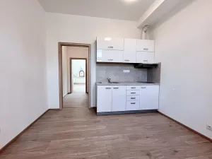 Pronájem bytu 2+kk, Brno, Cihlářská, 44 m2