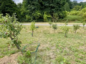Pronájem bytu 1+kk, Slaný, Lázeňská, 35 m2