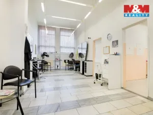 Prodej obchodního prostoru, Chomutov, Palackého, 159 m2