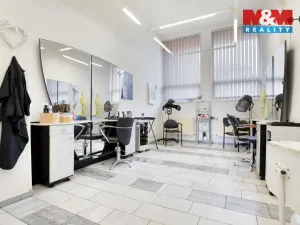 Prodej obchodního prostoru, Chomutov, Palackého, 159 m2