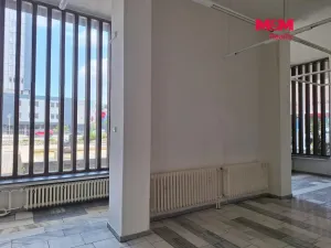 Prodej obchodního prostoru, Chomutov, Palackého, 159 m2