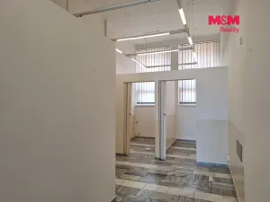 Prodej obchodního prostoru, Chomutov, Palackého, 159 m2