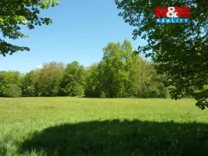 Prodej louky, Náchod - Běloves, 20495 m2