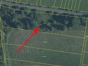 Prodej louky, Hovězí, 4650 m2