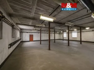 Pronájem výrobních prostor, Praskačka, 95 m2