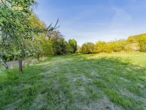 Prodej pozemku pro bydlení, Svojetín, 3831 m2