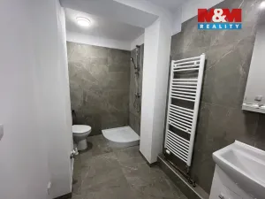 Pronájem bytu 1+kk, Český Těšín, Mlýnská, 72 m2