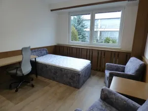 Pronájem bytu 1+kk, Brno, Heršpická, 23 m2