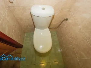 Prodej rodinného domu, Újezd u Chocně, 170 m2