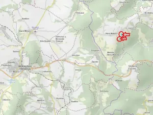 Prodej podílu lesa, Maletín, 10553 m2