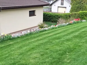Prodej rodinného domu, Cvrčovice, Školní, 147 m2