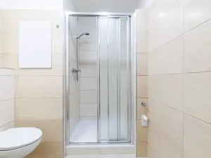 Pronájem bytu 2+kk, České Budějovice, Puklicova, 39 m2