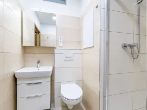 Pronájem bytu 2+kk, České Budějovice, Puklicova, 39 m2