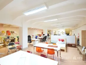 Pronájem obchodního prostoru, Tábor, Vančurova, 490 m2