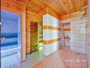 Prodej komerční nemovitosti, Soběslav, 514 m2