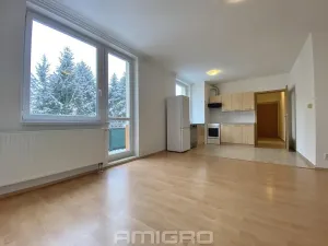 Pronájem bytu 1+kk, Brno, Absolonova, 41 m2