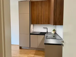 Pronájem bytu 2+kk, Praha - Smíchov, U Blaženky, 55 m2
