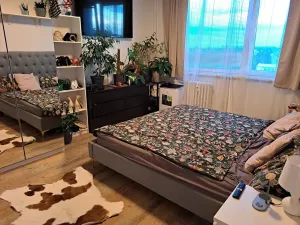 Pronájem bytu 3+1, Hradec Králové, Pod Zámečkem, 81 m2