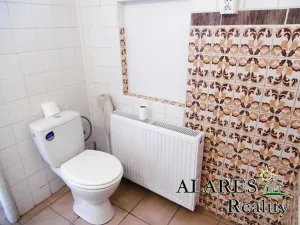 Pronájem bytu 1+1, Praha - Smíchov, Děvínská, 52 m2