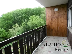 Pronájem bytu 1+1, Praha - Smíchov, Děvínská, 52 m2