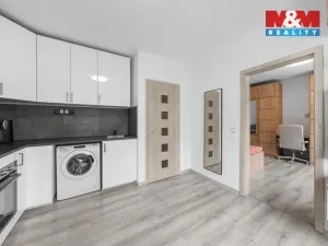 Prodej bytu 1+1, Ústí nad Labem - Severní Terasa, Maková, 33 m2