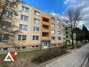 Prodej bytu 3+1, Hustopeče, Školní, 78 m2