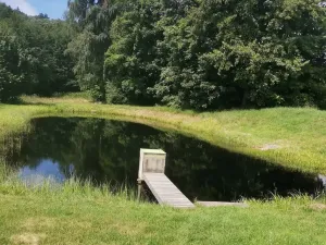 Prodej chaty, Bujanov, 250 m2