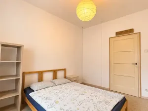 Pronájem bytu 2+1, Brno, Mezírka, 50 m2