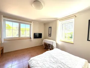 Pronájem vily, Nový Knín, 450 m2