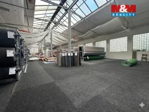 Pronájem obchodního prostoru, Klatovy, Nádražní, 600 m2
