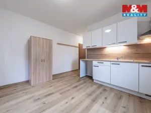 Prodej bytu 1+kk, Šestajovice, Revoluční, 18 m2